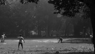 cricket in the park