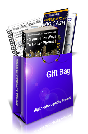 The Complete Digital SLR Guide - BONUS! gift bag