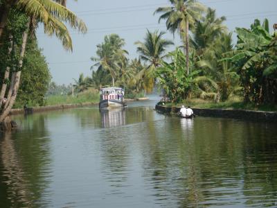 Alappuzha, The venice of the east