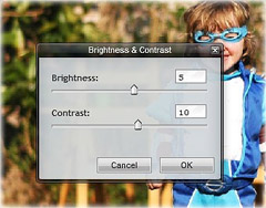 brightness and contrast dialog box