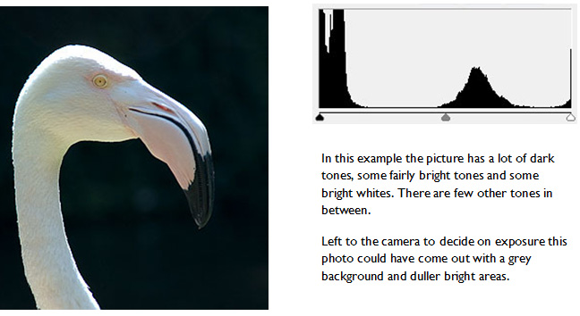 photography basics - the camera histogram. Example using an awkward exposure