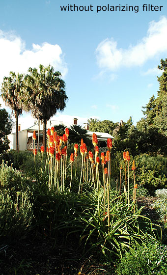 Example of circular polarizing filter used to create deep blue sky in photography - before