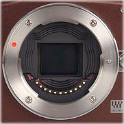 system camera sensor - larger than the sensors on compact cameras system camera image sensor