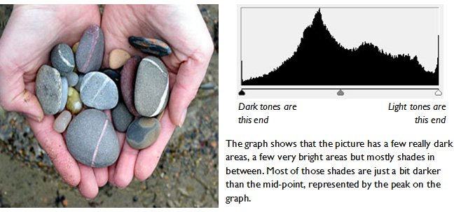 photography basics - the camera histogram. Example using a well exposed photo