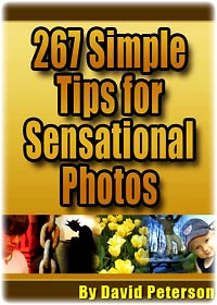 267 digital photography tips –cover photo