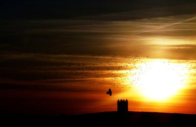 Taken in Cheshire , UK