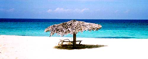 beach umbrella