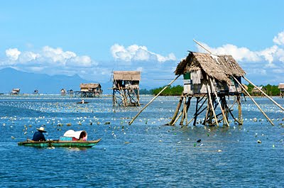 Seaweed Farmer, Philippines