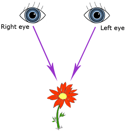 stereoscopic digital photography diagram