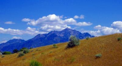 Salt Lake City On A Hot August Afternoon