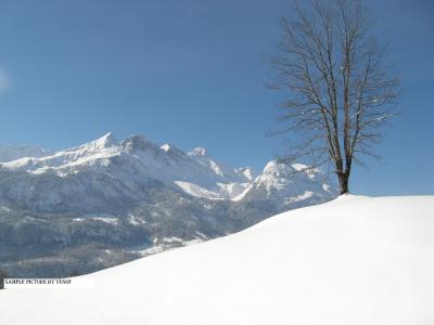 Winter in Switzerland