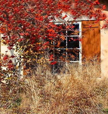 The autumn season is at it's peak 