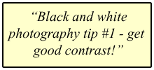 black and white photography tip
