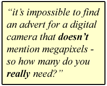 megapixels quote