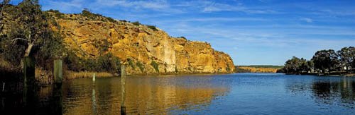 Murray River Australia - panorama