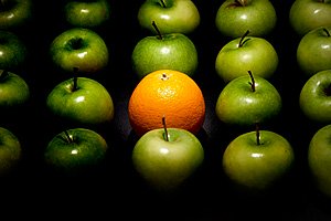 creative photo of apples and an orange